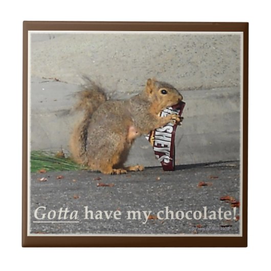 Ik moet mijn chocolade decoratieve Tegel hebben Tegeltje (Voorkant)