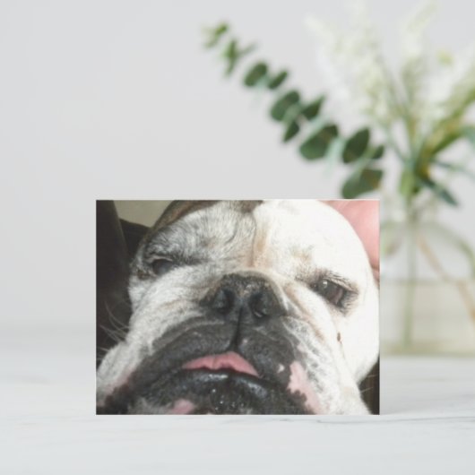 Ik moet stoppen met drink. briefkaart (Staand voorkant)