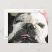 Ik moet stoppen met drink. briefkaart (Voorkant / Achterkant)