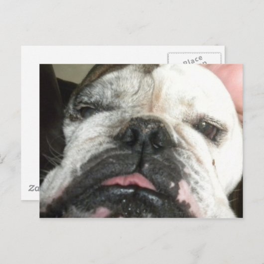 Ik moet stoppen met drink. briefkaart (Voorkant / Achterkant)