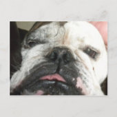 Ik moet stoppen met drink. briefkaart (Voorkant)