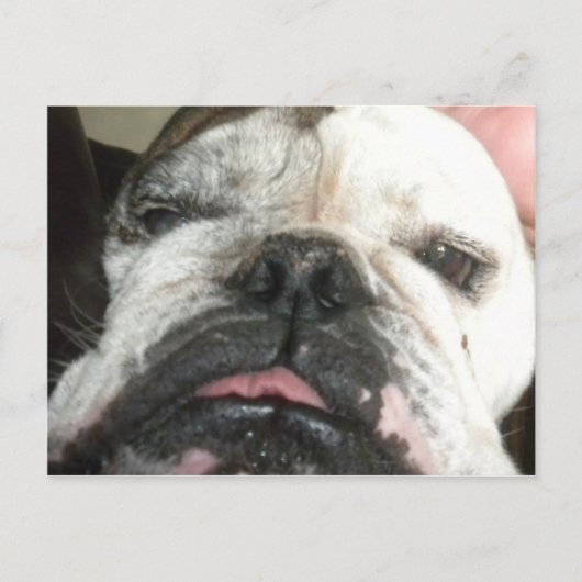 Ik moet stoppen met drink. briefkaart (Voorkant)