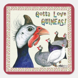 Ik moet van Guineas houden. Vierkante Sticker