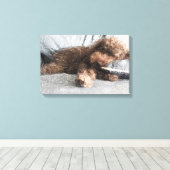 Ik ❤️ Naps Poodle Canvas Afdruk (Insitu (Houten vloer))
