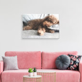 Ik ❤️ Naps Poodle Canvas Afdruk (Insitu (Woonkamer))