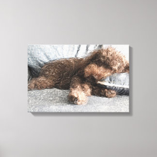 Ik ❤️ Naps Poodle Canvas Afdruk