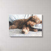 Ik ❤️ Naps Poodle Canvas Afdruk (Voorkant)