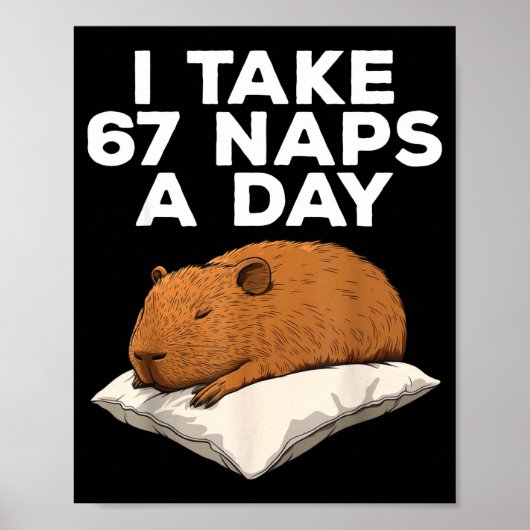 Ik neem 67 dutjes per dag Funny Capybara Six Seven Poster (Voorkant)