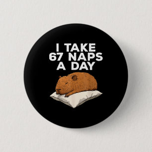 Ik neem 67 dutjes per dag Funny Capybara Six Seven Ronde Button 5,7 Cm