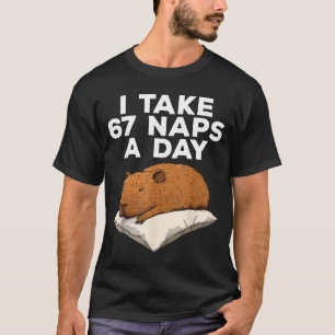 Ik neem 67 dutjes per dag Funny Capybara Six Seven T-shirt