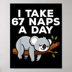 Ik neem 67 dutjes per dag Funny Koala Six Seven Me Poster