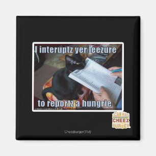 Ik onderbreek yer Leezure Magneet