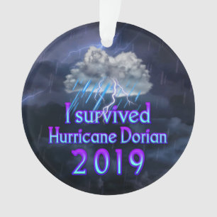 Ik overleefde de orkaan Dorian cloud Ornament