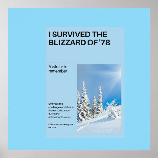 Ik overleefde de sneeuwstorm van '78 poster (Voorkant)