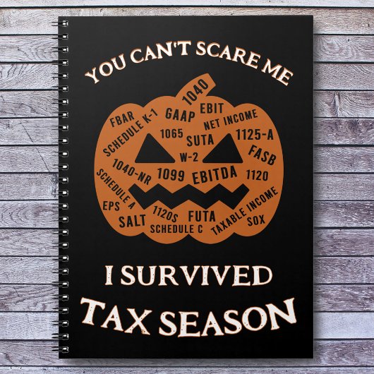 Ik overleefde de spiraal van het belastingseizoen notitieboek