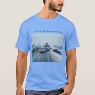 Ik overleefde de winterstormen van 2026 t-shirt