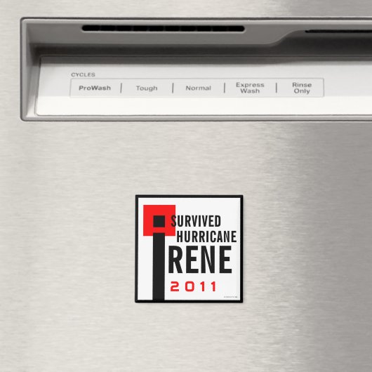 Ik overleefde orkaan Irene Magnet 2 (Insitu (Vaatwasser))