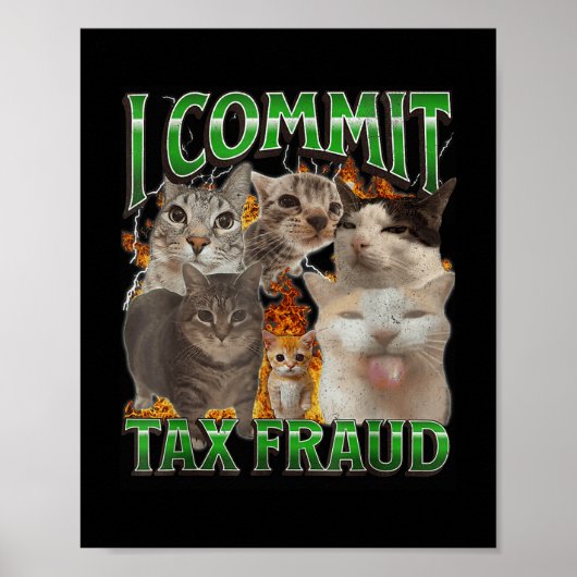 Ik pleeg belastingfraude Grappig Offensief Cat Mem Poster (Voorkant)
