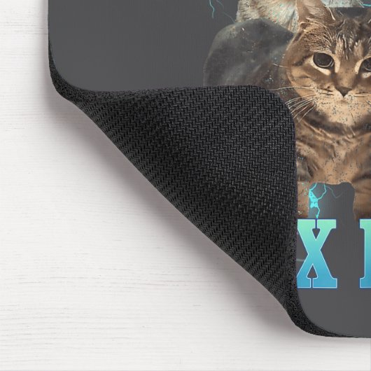 Ik Pleeg Belastingfraude Grappige Kat Meme Bootleg Muismat (Hoek)