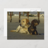 Ik praat niet met je. briefkaart (Voorkant / Achterkant)