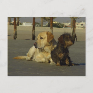 Ik praat niet met je. briefkaart