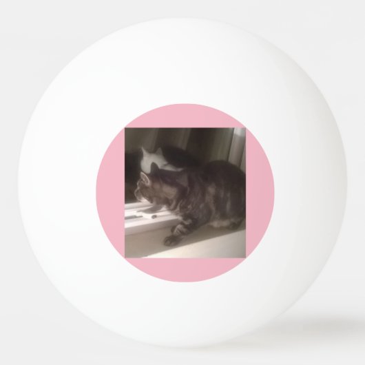 Ik praat niet met je Dave Three Star Ping Ball (Voorkant)