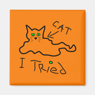 Ik probeerde een kattenmagneet magneet