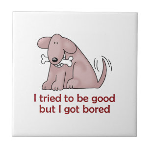 IK PROBEERDE GOED TE ZIJN TEGELTJE