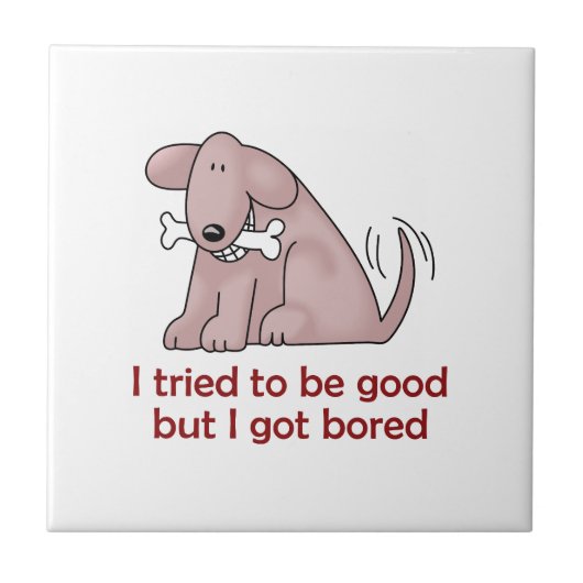 IK PROBEERDE GOED TE ZIJN TEGELTJE (Voorkant)