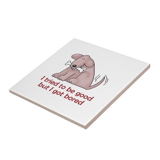 IK PROBEERDE GOED TE ZIJN TEGELTJE (Zijkant)