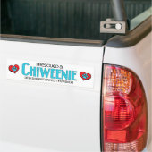 Ik redde een Chiweenie (Vrouw) ontwerp van de Dog  Bumpersticker (Op Truck)