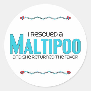 Ik redde een Maltipoo (Vrouw) ontwerp van de Aanne Ronde Sticker