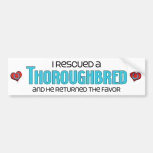 Ik redde een Thoroughbred (mannelijk paard) Bumpersticker