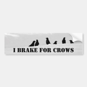 Ik rem altijd op kraaien bumpersticker