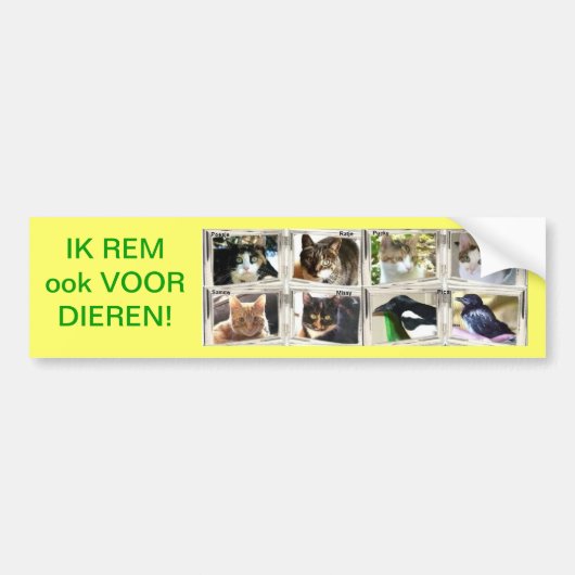 IK REM ook VOOR DIEREN! Bumpersticker (Voorkant)