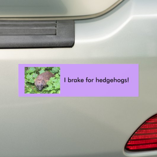 Ik rem op egels! bumpersticker (Op auto)