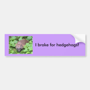 Ik rem op egels! bumpersticker