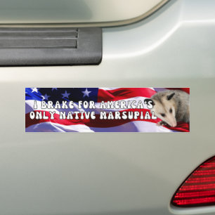 IK REM VOOR AMERIKA'S ENIGE INHEEMSE BUIDELDIER, P BUMPERSTICKER
