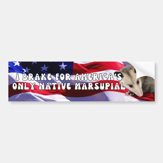 IK REM VOOR AMERIKA'S ENIGE INHEEMSE BUIDELDIER, P BUMPERSTICKER (Voorkant)