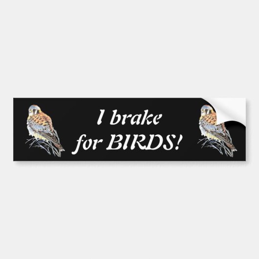 Ik rem voor Birds Kestrel of Falcon Waterverf Bumpersticker (Voorkant)