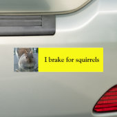 Ik rem voor eekhoorns bumpersticker (Op auto)