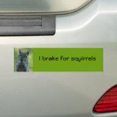 Ik rem voor eekhoorns bumpersticker (Op auto)