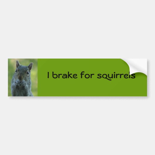 Ik rem voor eekhoorns bumpersticker (Voorkant)