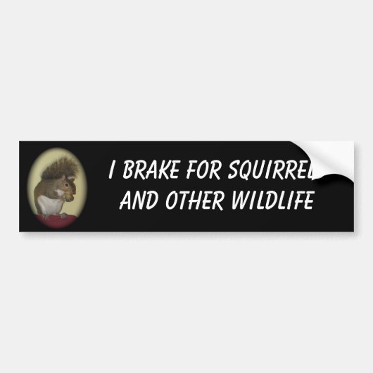 Ik rem voor eekhoorns bumpersticker (Voorkant)