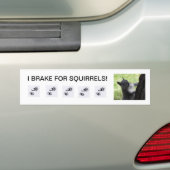 Ik REM voor Eekhoorns, bumpersticker. Bumpersticker (Op auto)