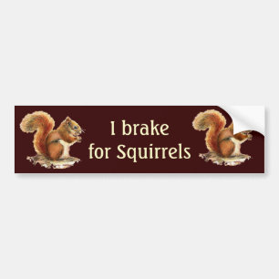 Ik rem voor eekhoorns, Waterverf dieren Bumpersticker