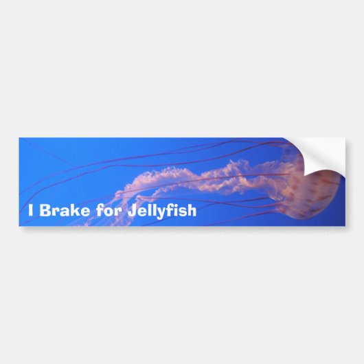 Ik Rem voor Kwallen Bumpersticker (Voorkant)