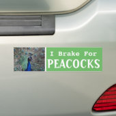 Ik rem voor pauwen bumpersticker (Op auto)