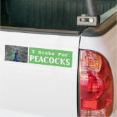 Ik rem voor pauwen bumpersticker (Op Truck)