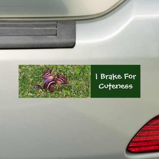 Ik rem voor schattigheid Chipmunks Bumpersticker (Op auto)